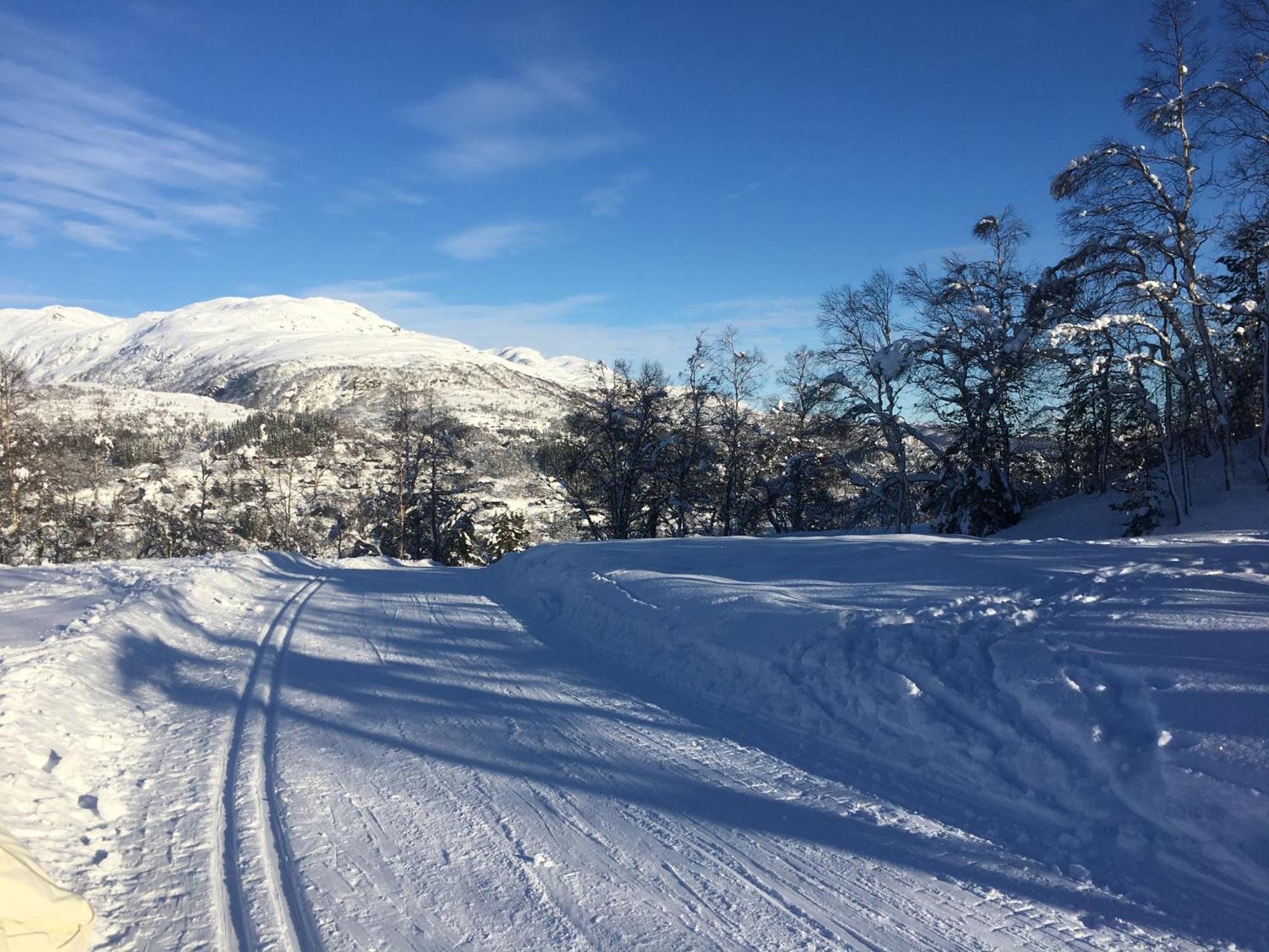 Kvamskogen & Hardanger Holliday Homes Norheimsund Exterior foto